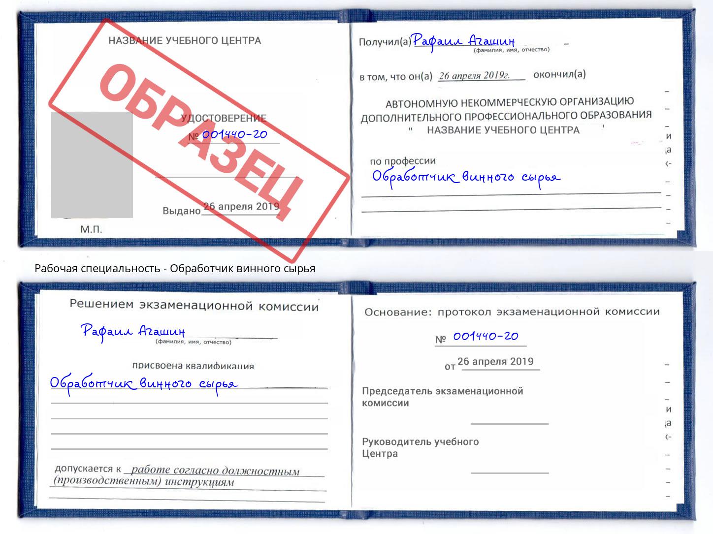 Обработчик винного сырья Борзя