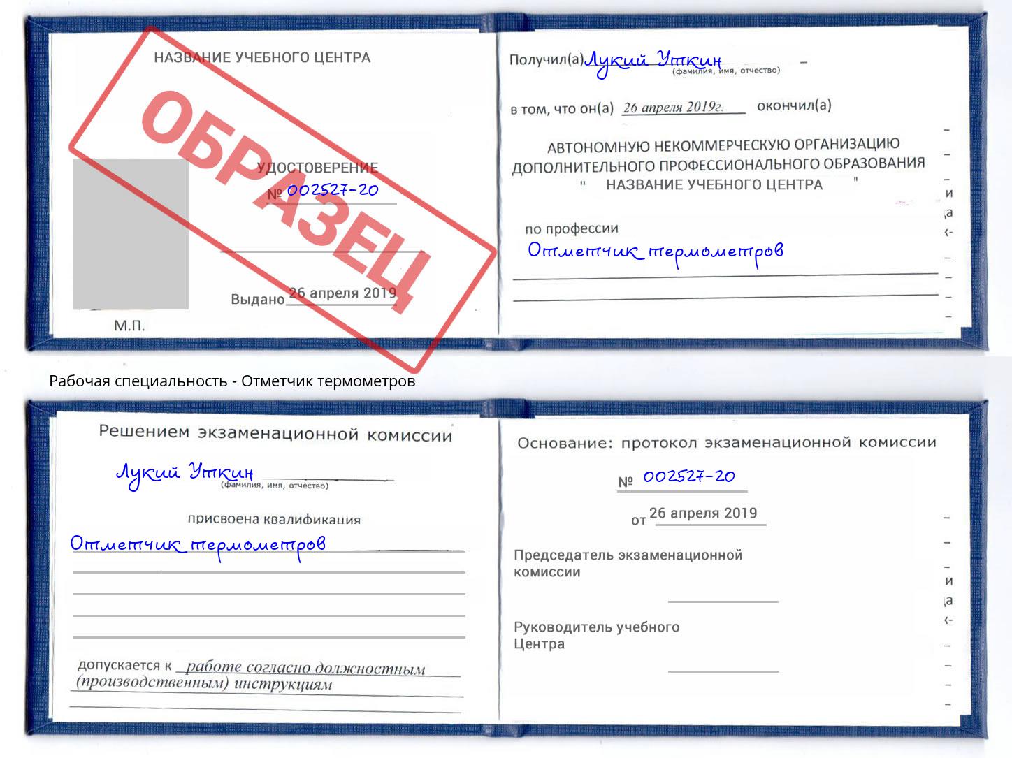 Отметчик термометров Борзя