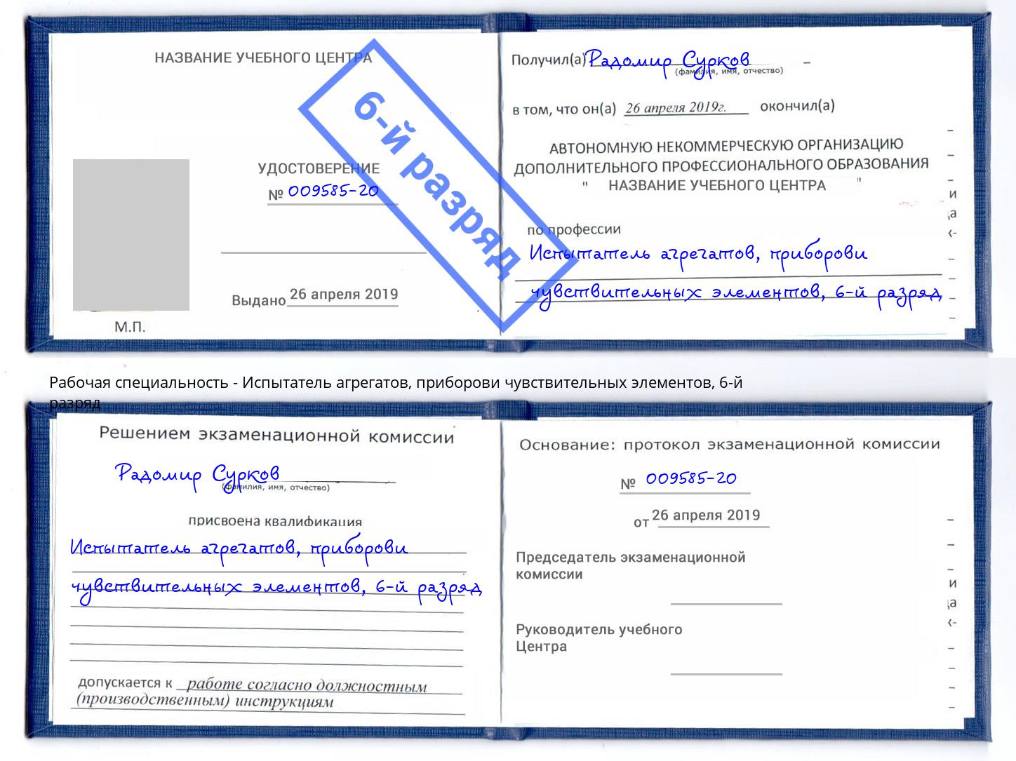 корочка 6-й разряд Испытатель агрегатов, приборови чувствительных элементов Борзя