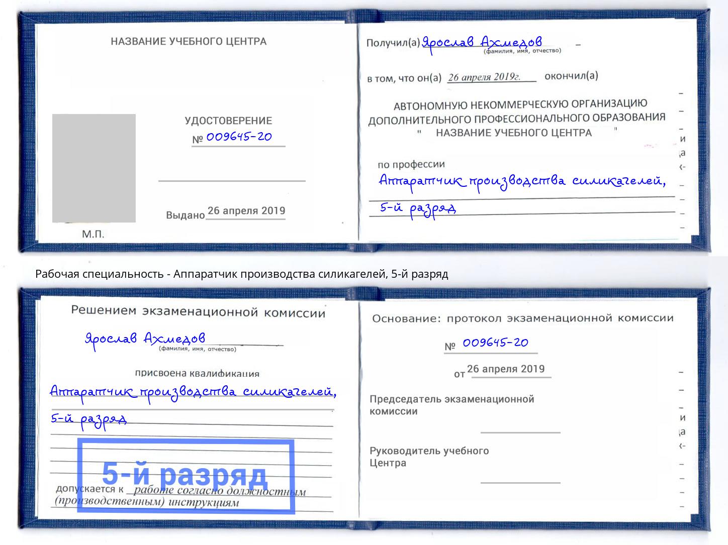 корочка 5-й разряд Аппаратчик производства силикагелей Борзя