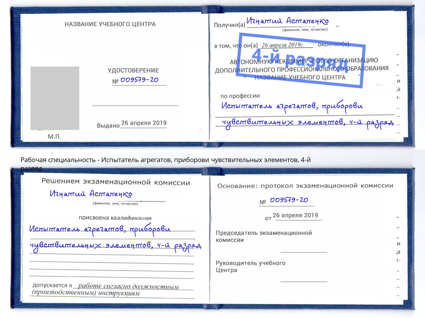 корочка 4-й разряд Испытатель агрегатов, приборови чувствительных элементов Борзя