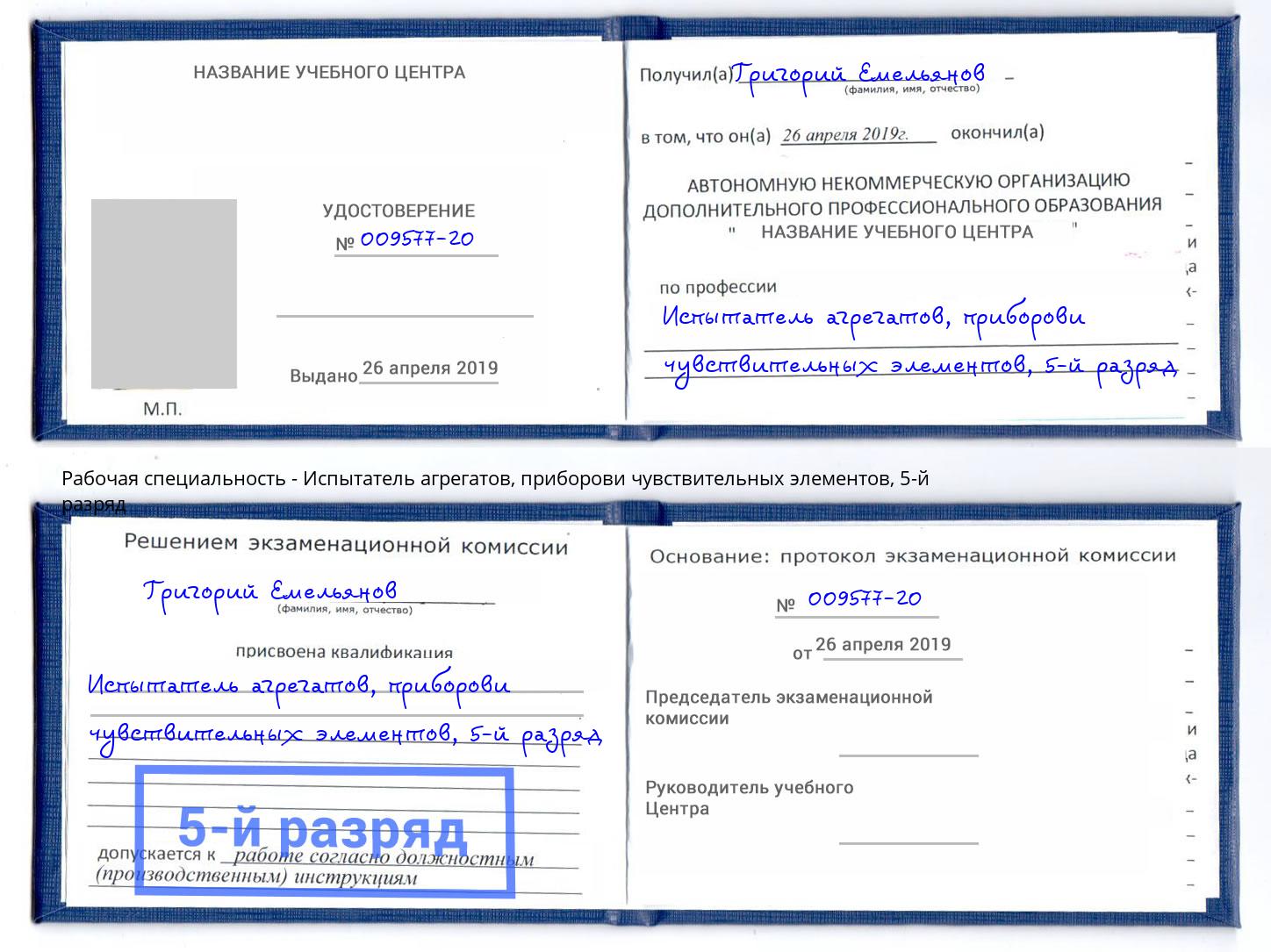 корочка 5-й разряд Испытатель агрегатов, приборови чувствительных элементов Борзя