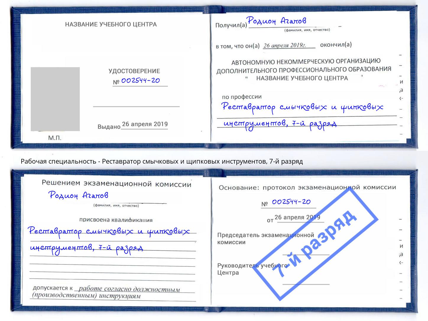 корочка 7-й разряд Реставратор смычковых и щипковых инструментов Борзя