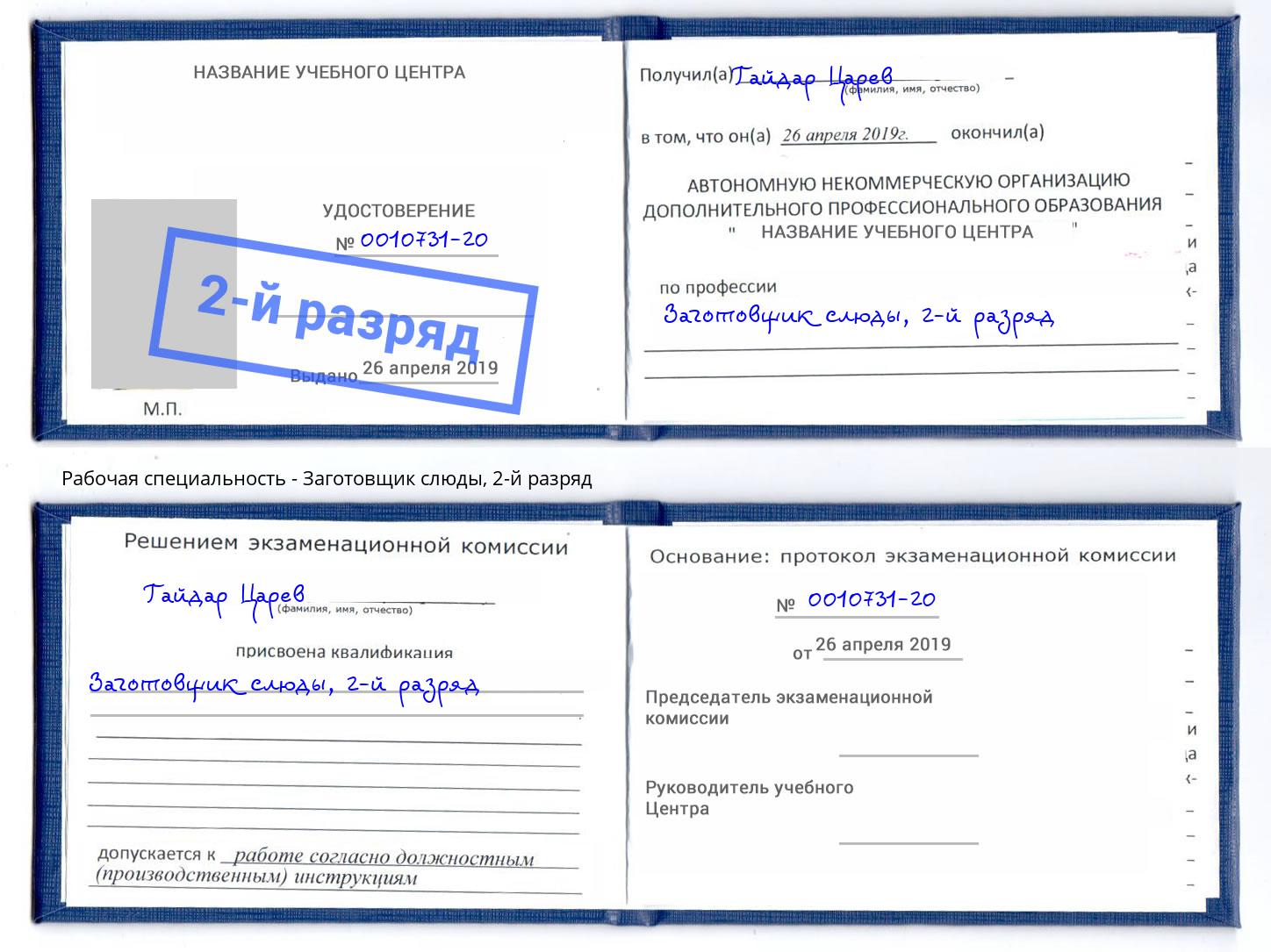 корочка 2-й разряд Заготовщик слюды Борзя