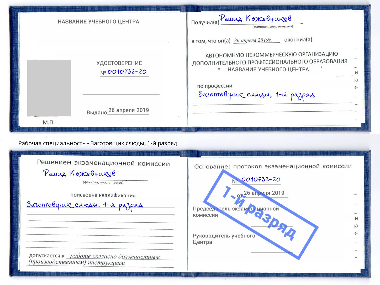 корочка 1-й разряд Заготовщик слюды Борзя